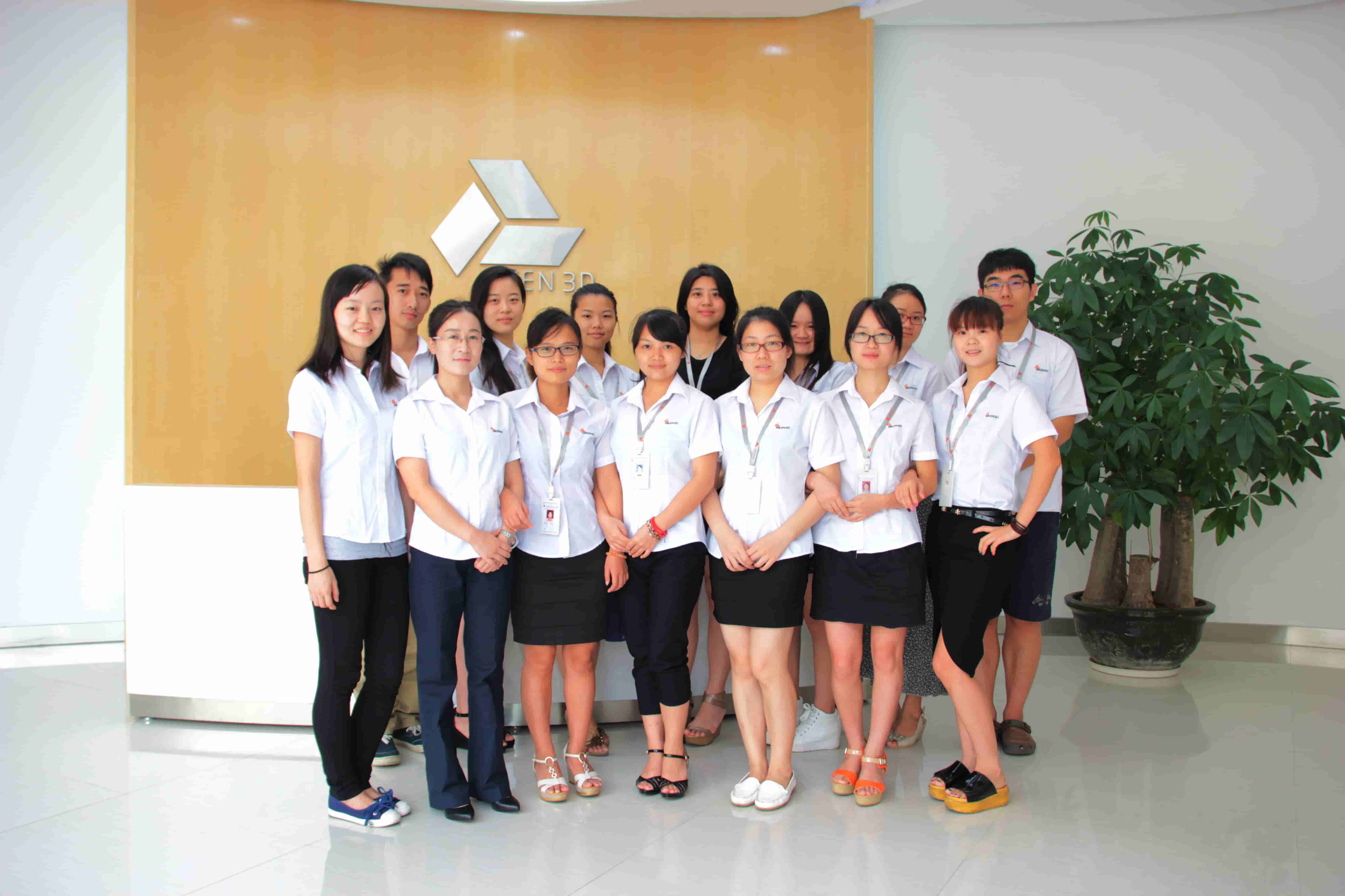 You get a professional production team in China